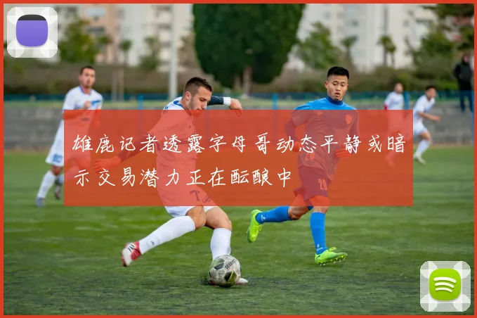 雄鹿记者透露字母哥动态平静或暗示交易潜力正在酝酿中